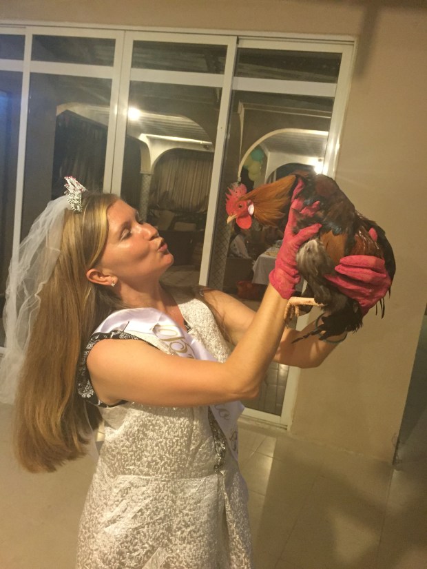 We don't really use chickens for medical treatment - but for Hen's nights! Jayne is starring here with cockerel Nathan.